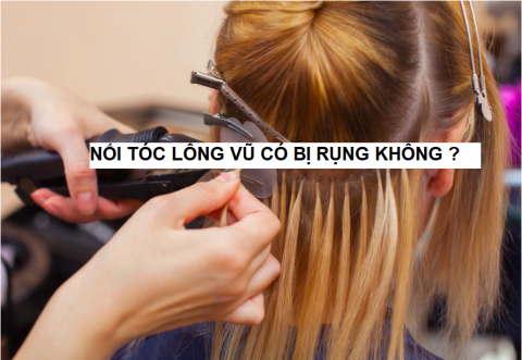 Nối Tóc Lông Vũ Có Bị Rụng Tóc Không ?